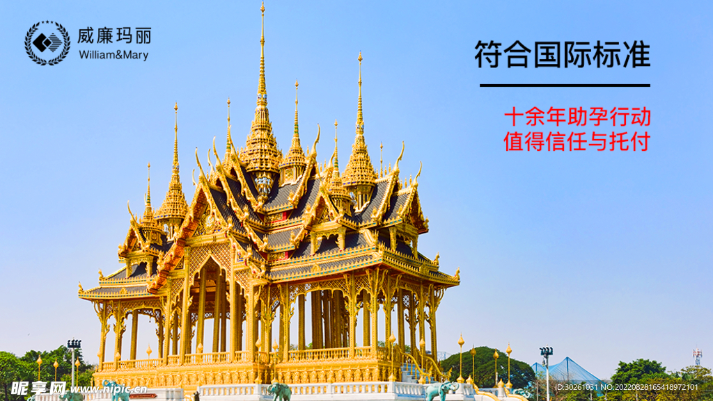 助孕跨国际试管婴儿海报设计