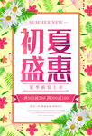 初夏盛惠