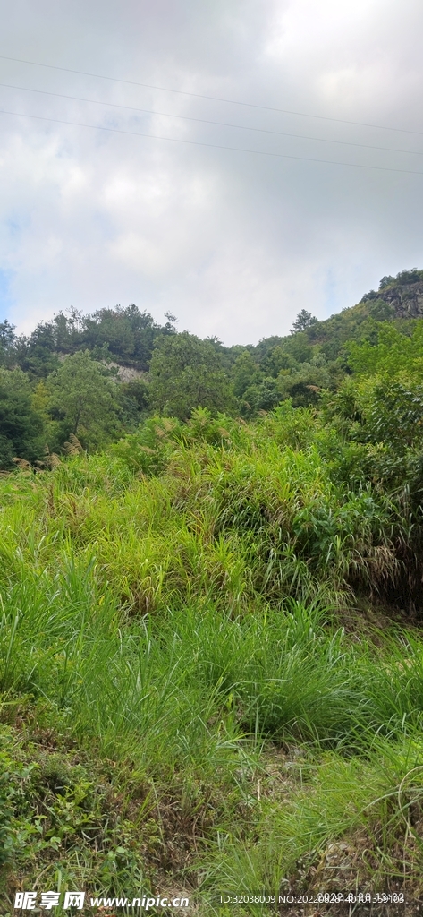自然风景