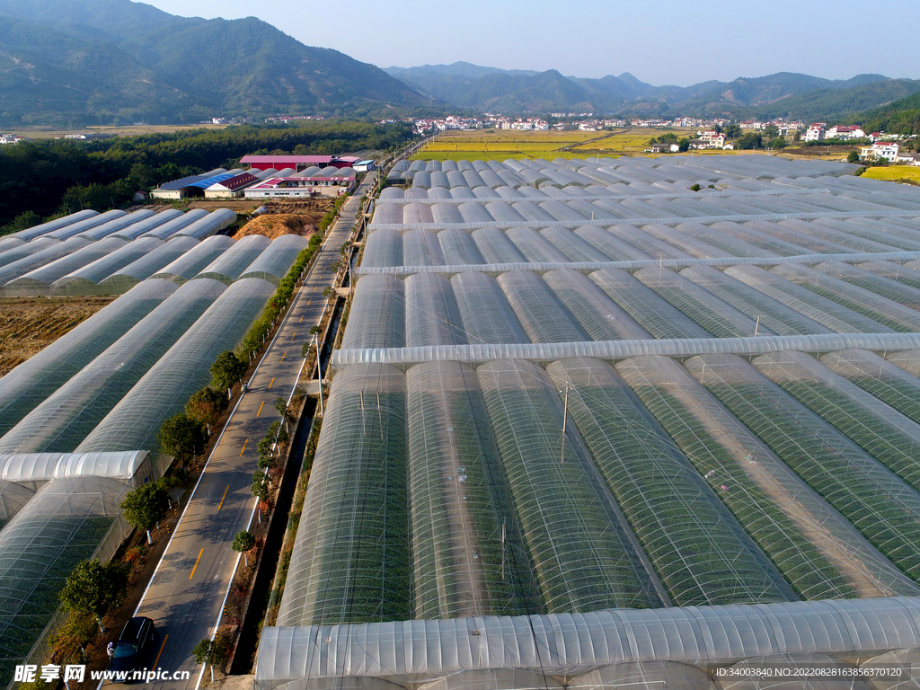 蔬菜基地