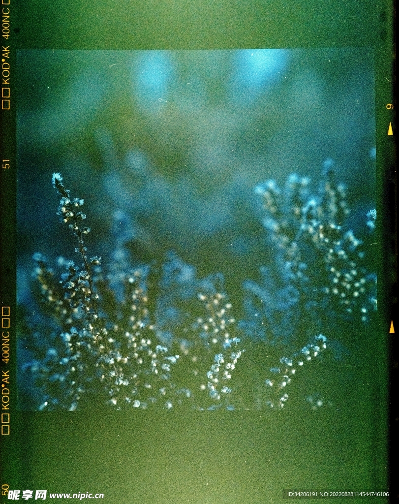照片