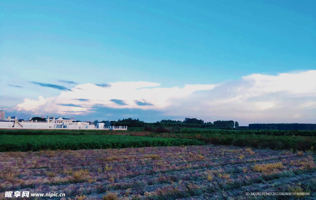 田园