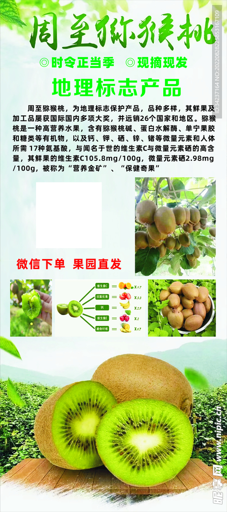 猕猴桃 水果展架