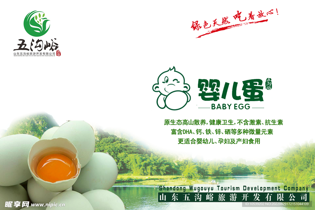 婴儿蛋