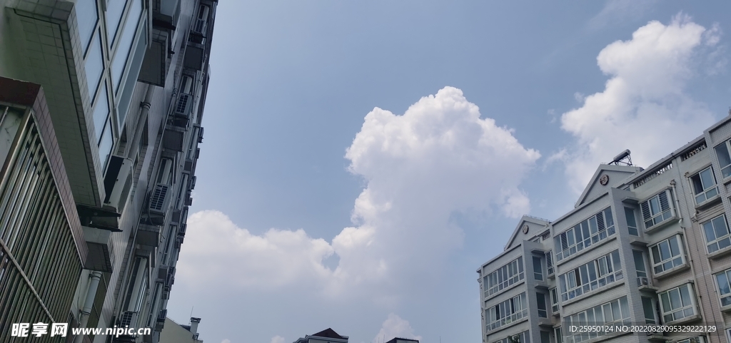 秋高气爽 天高云淡 一叶知秋 