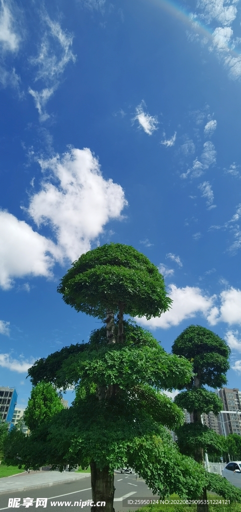 秋高气爽