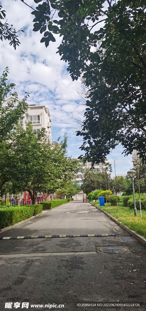 秋高气爽