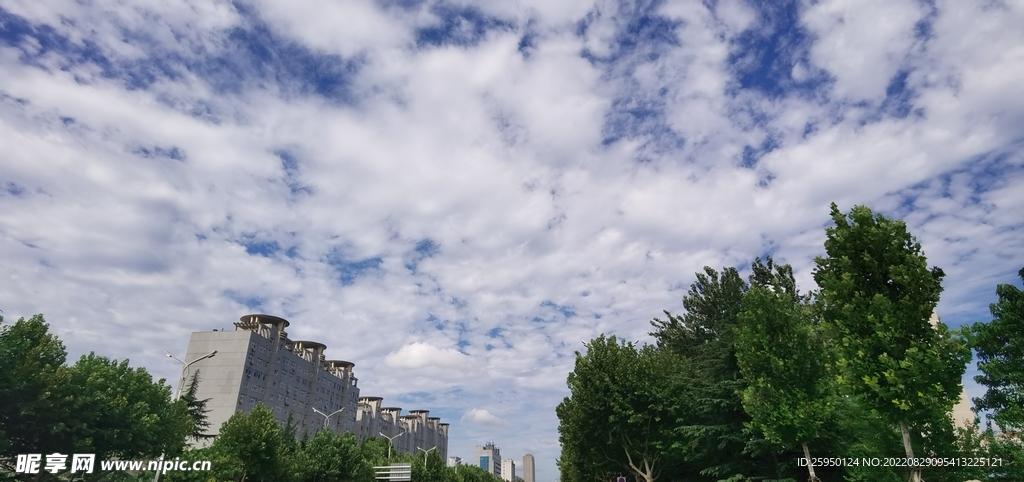 秋高气爽