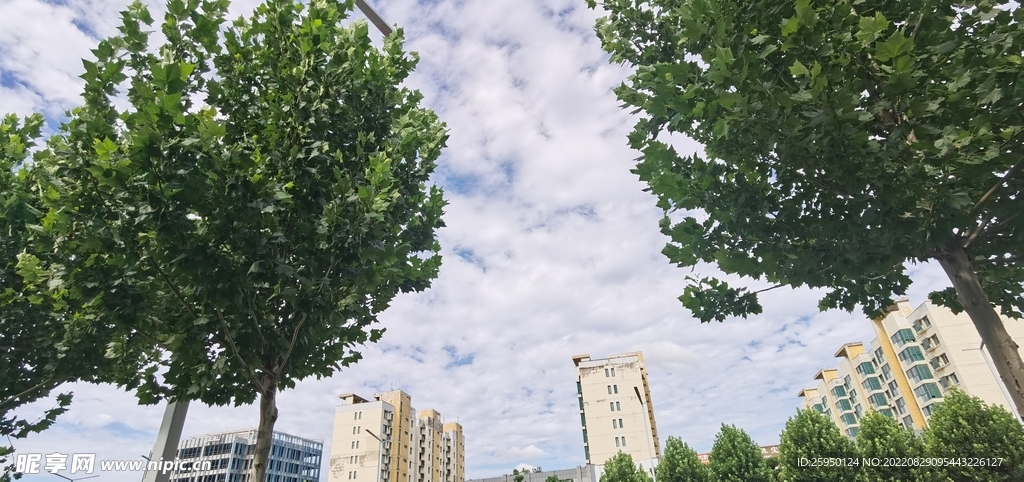 秋高气爽