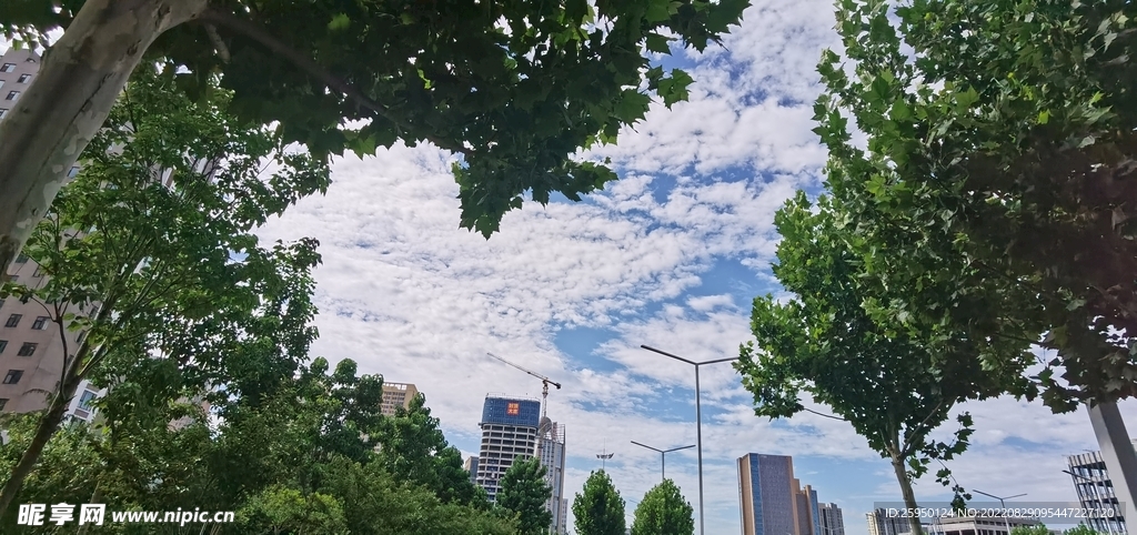 秋高气爽