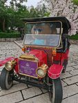 旅游观光车