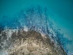 海