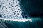 海