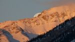 山