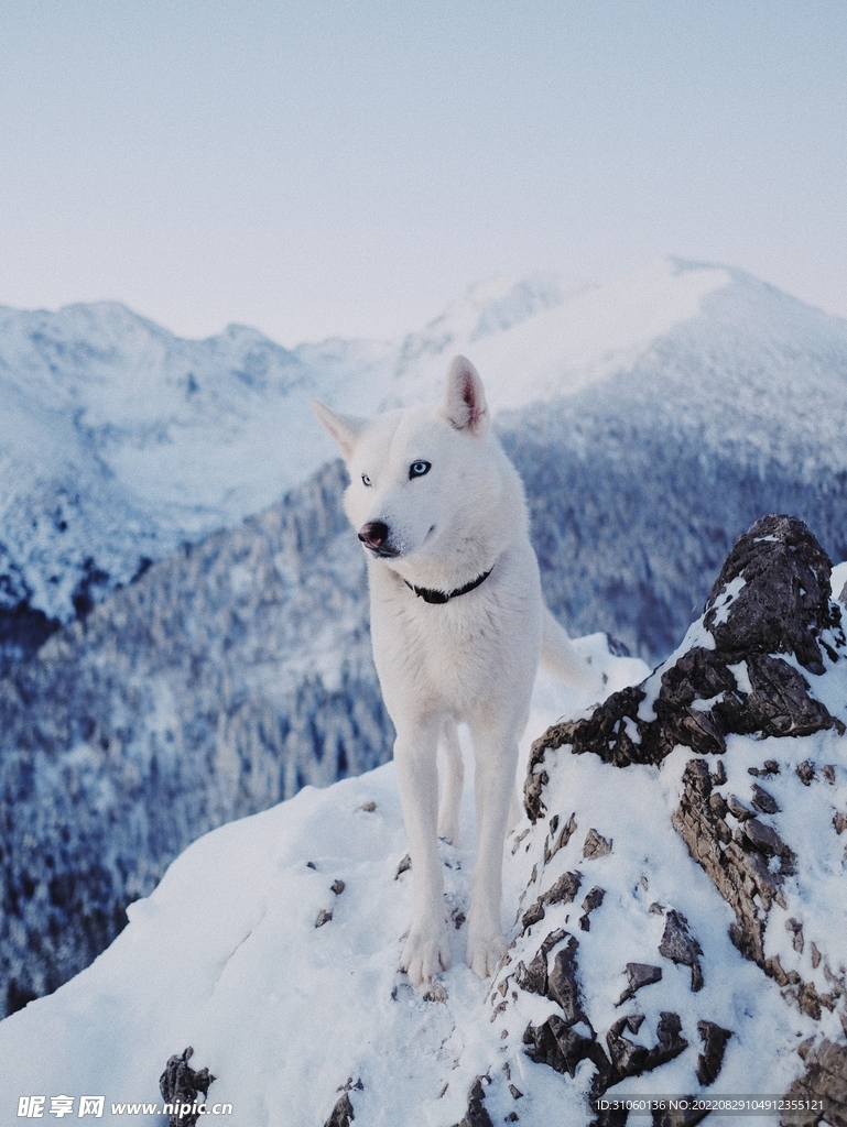 雪山