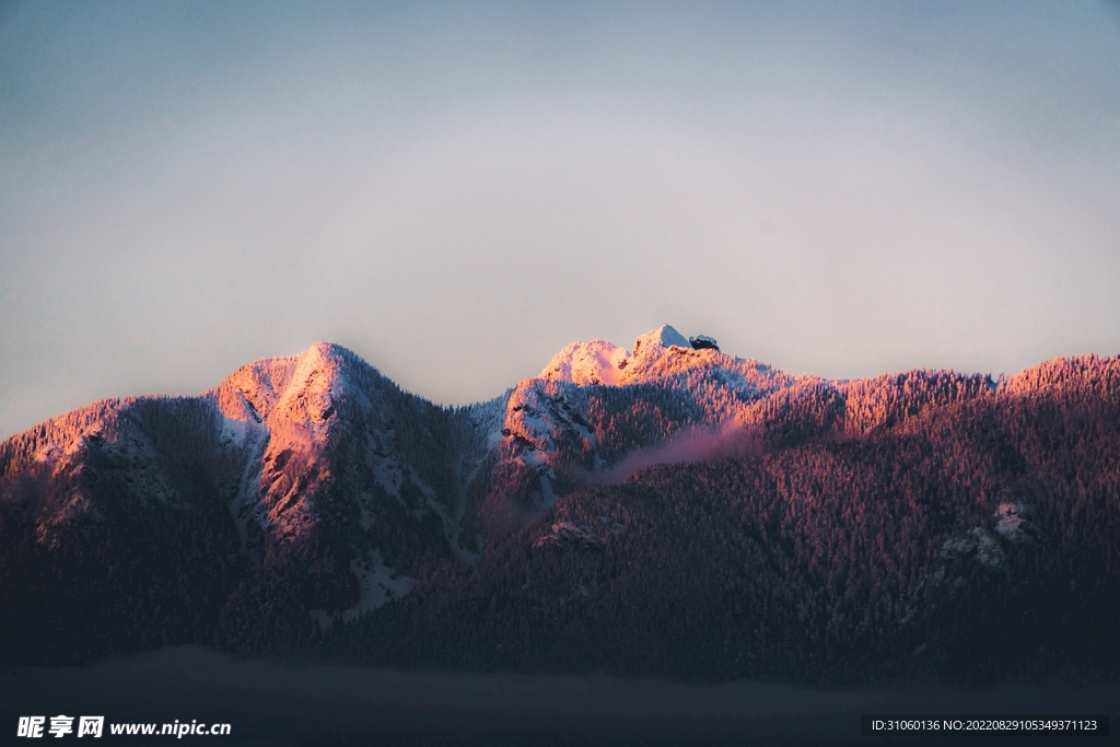 山
