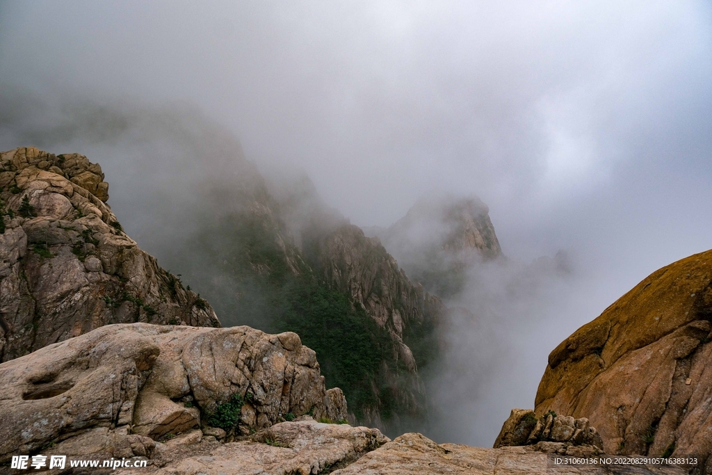 山