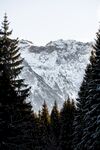 山