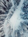雪