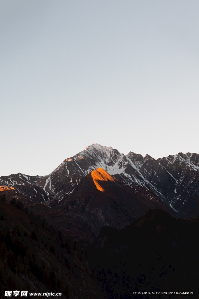山