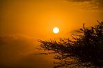 太阳