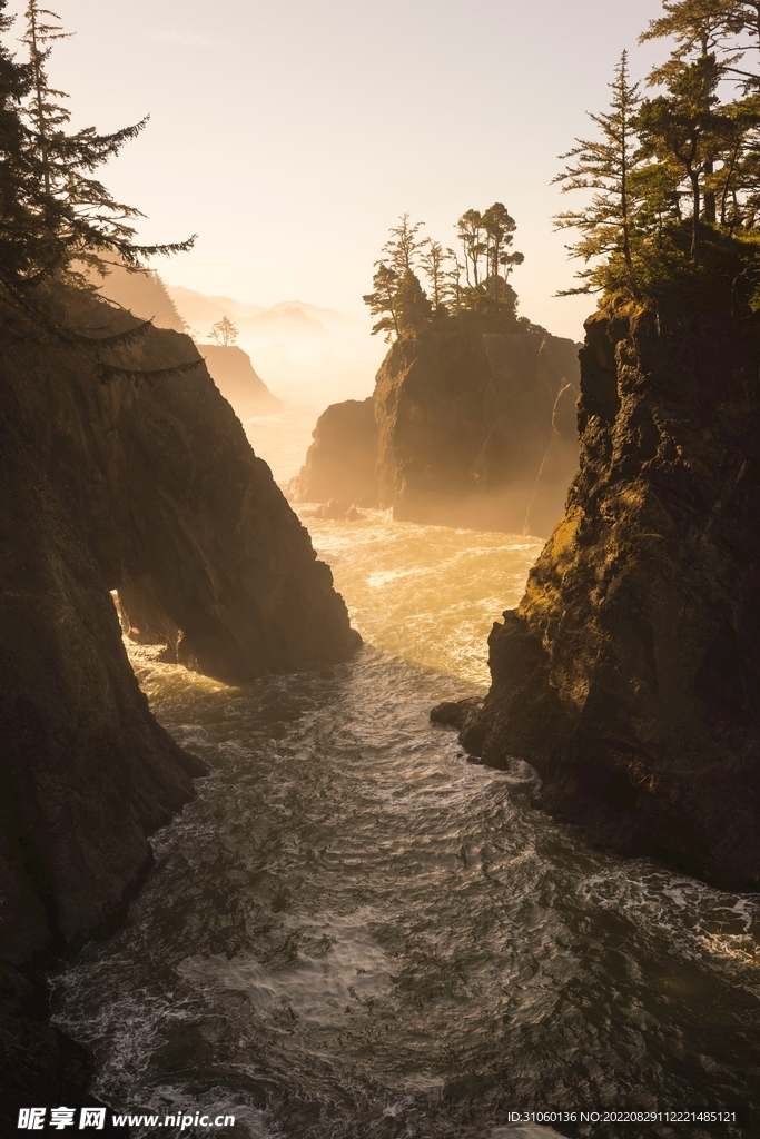 山