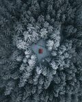 森林