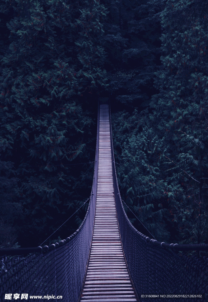 森林吊桥