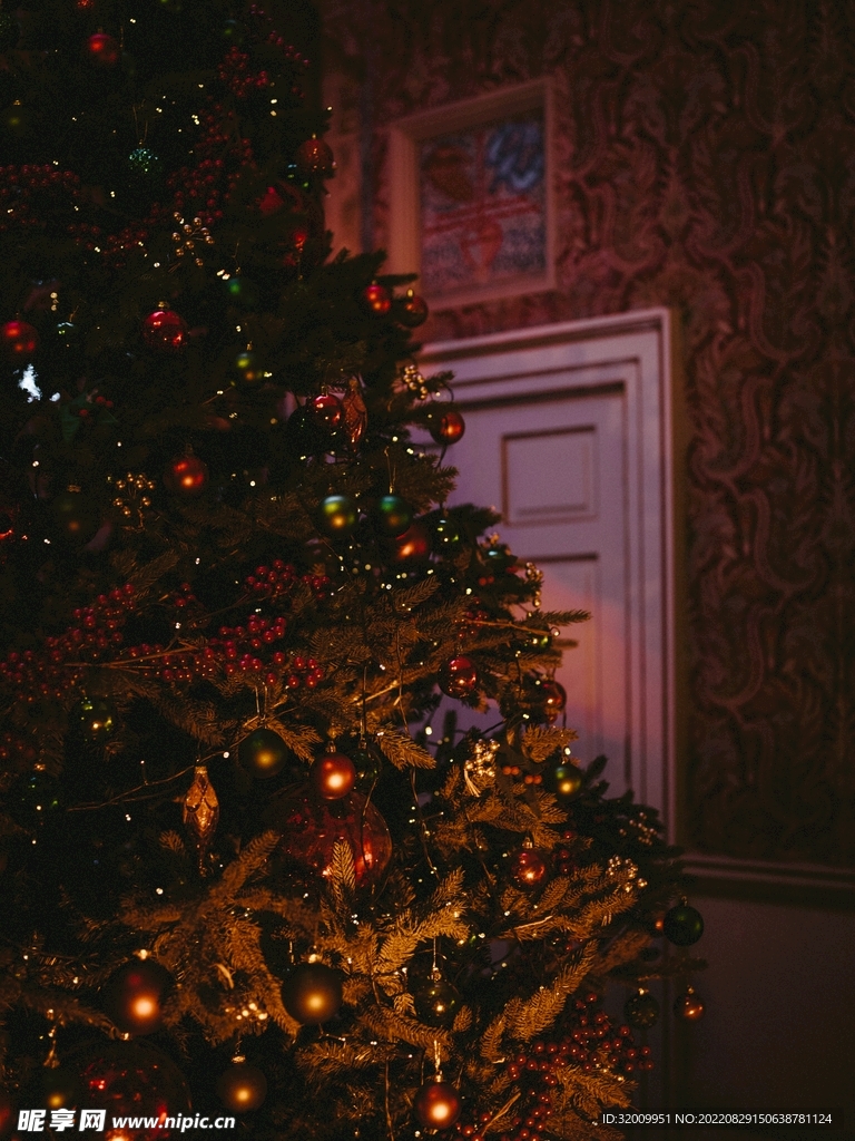 圣诞树            