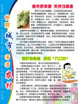 医疗文化