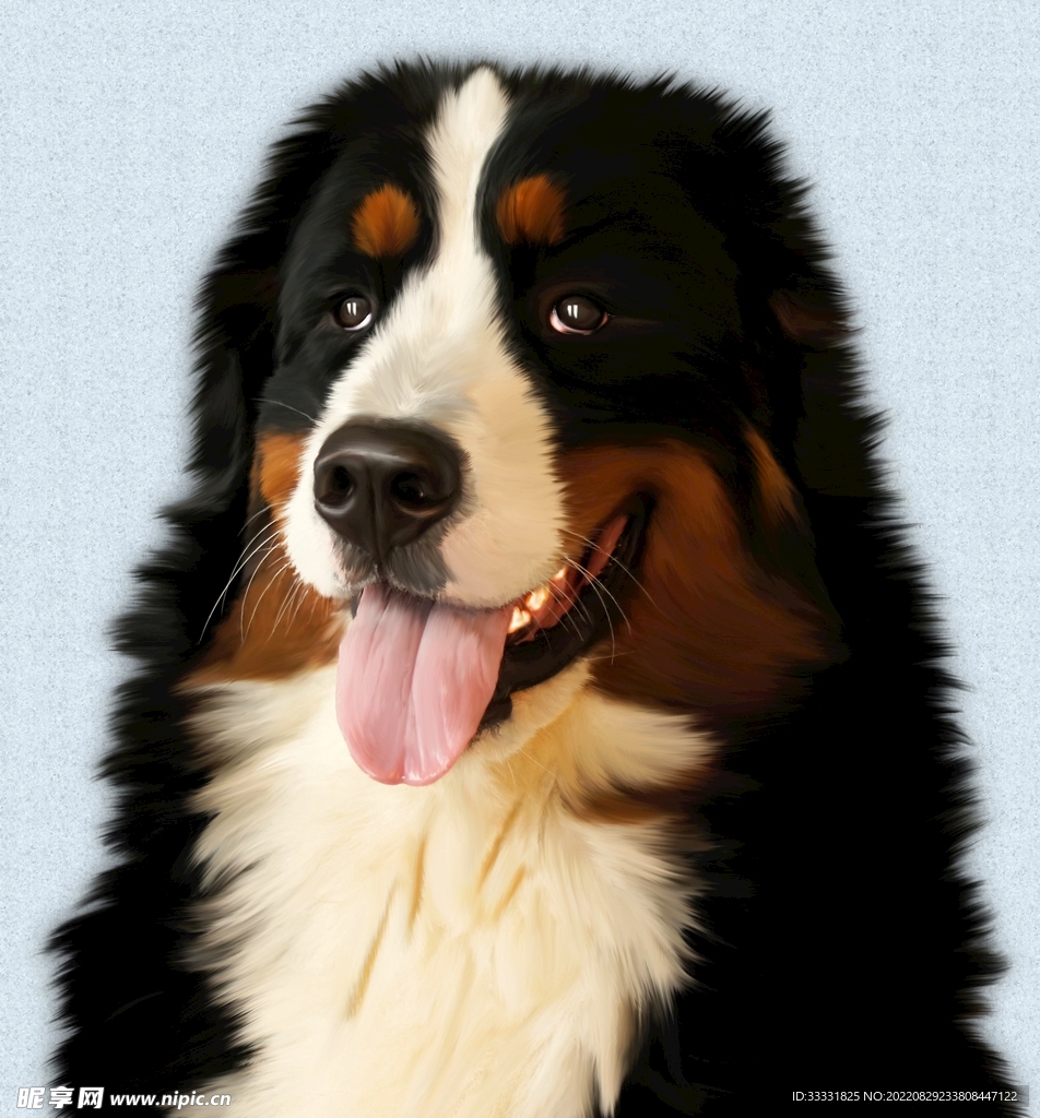 狗