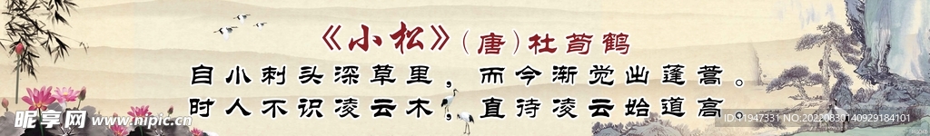 古诗小松