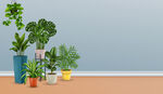 植物  