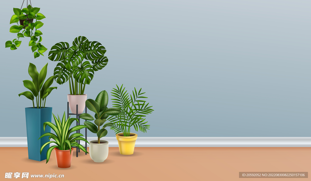 植物  