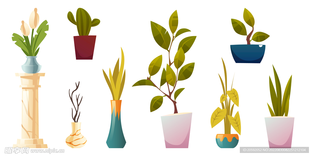 植物  