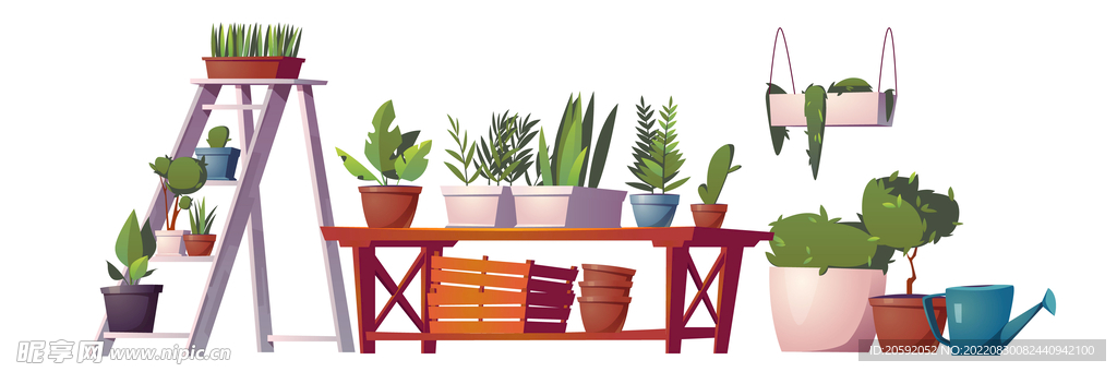 植物  