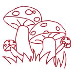 蘑菇