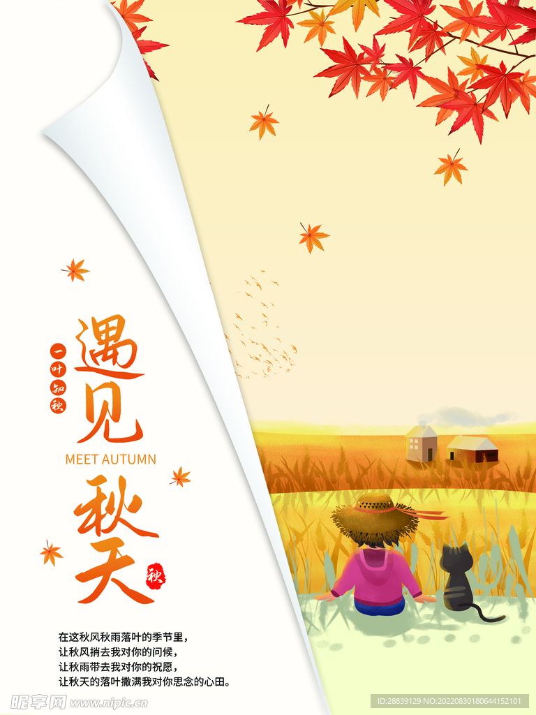  秋天背景