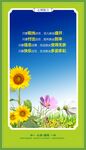 心理室展板挂图