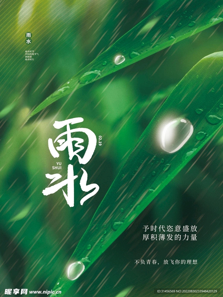 雨水