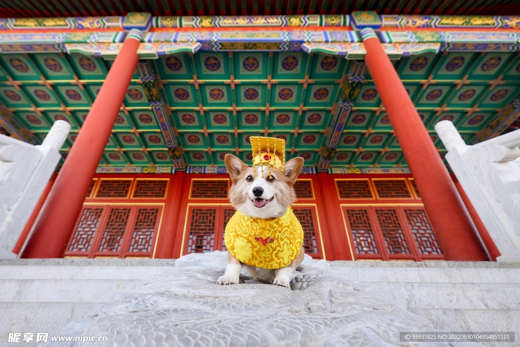 狗