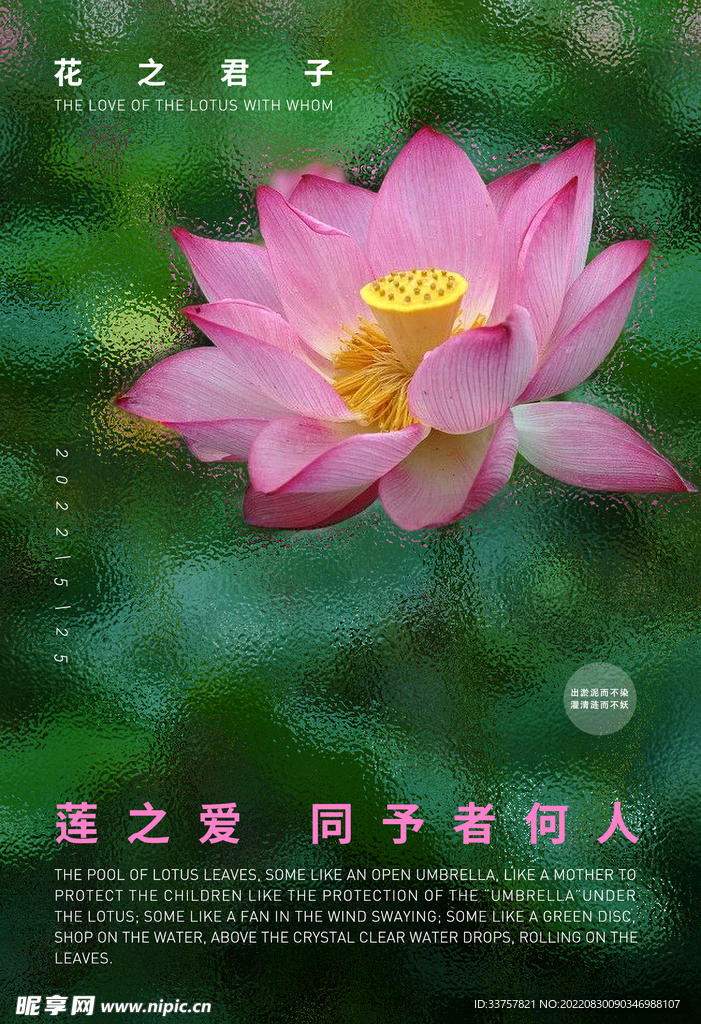 莲花海报