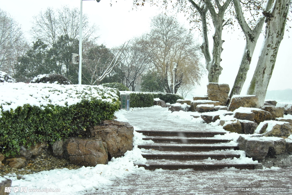 玄武湖畔的雪