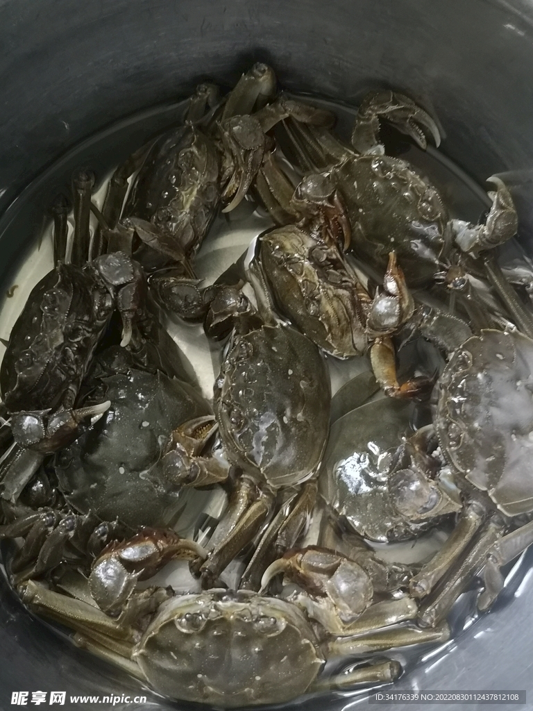 河蟹