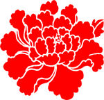 红色牡丹花