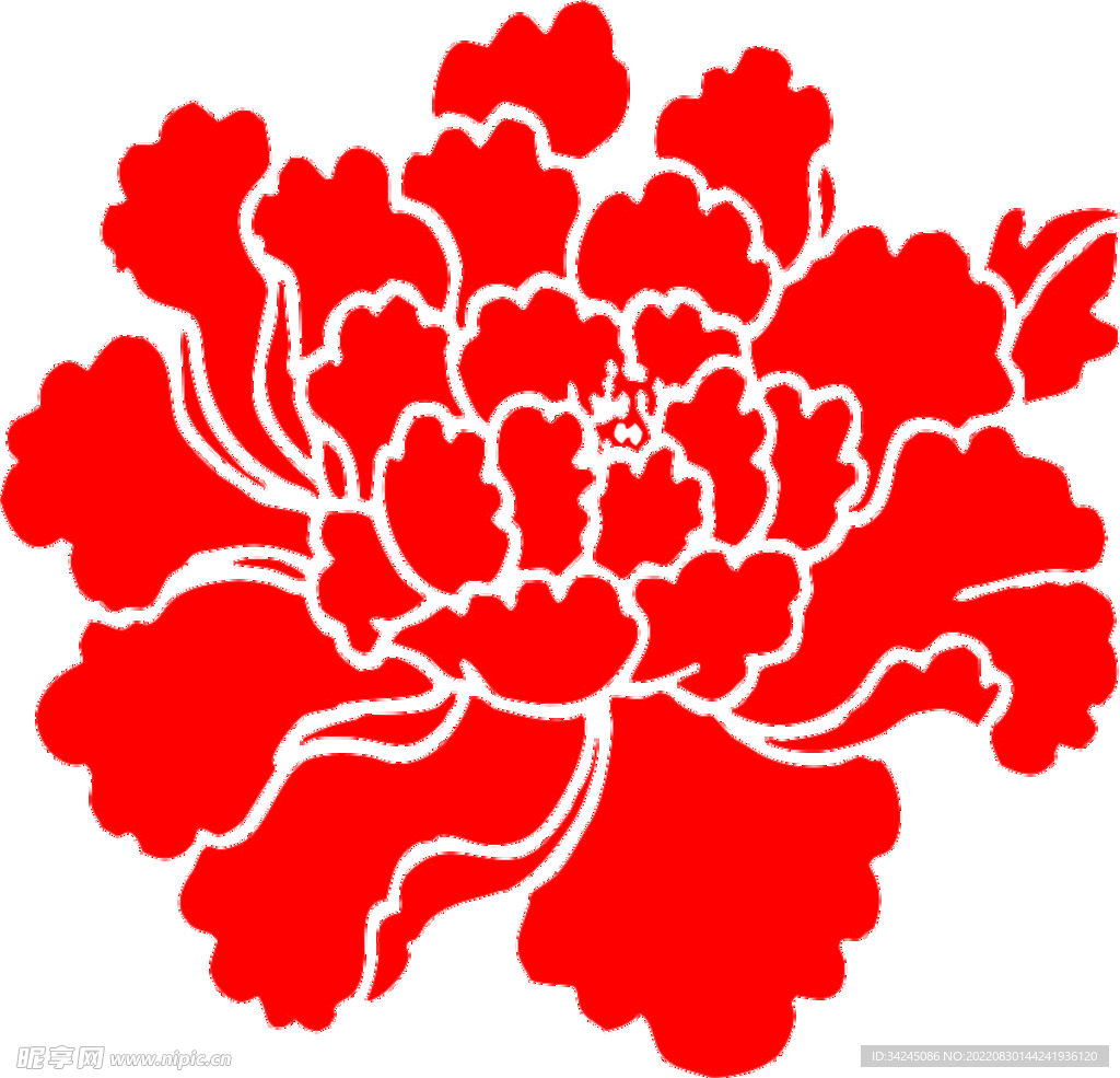 红色牡丹花