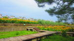 全景图 公园 走道图片 背景 