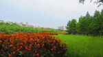  江边背景 风景素材   景观