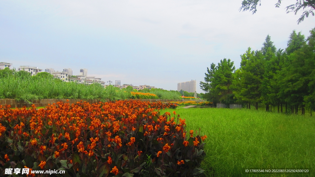  江边背景 风景素材   景观