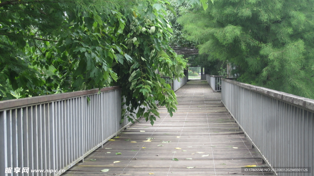  江边背景 风景素材   景观